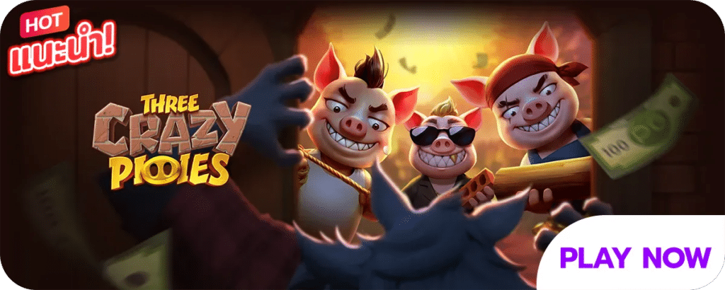 THREE CRAZY PIOIES
